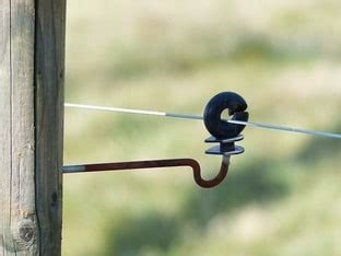 Sheep Fencing Guide (sheep fence options, ideas & cost estimates)