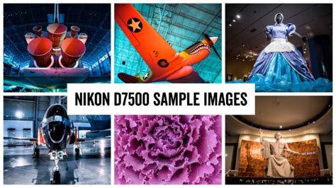 Nikon D7500 DSLR Sample Images Test & Review