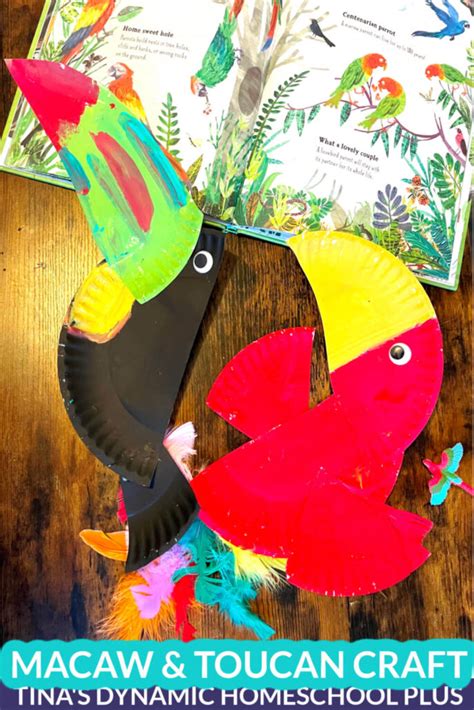 Wildlife in the Amazon Rainforest - Create Fun Macaw and Toucan Crafts