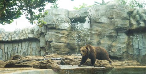 VISITOR INFO – Batu Secret Zoo