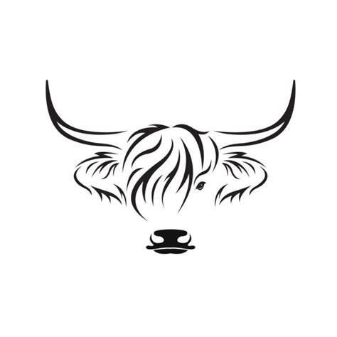 Highland Cow Illustrations, Royalty-Free Vector Graphics & Clip Art - iStock