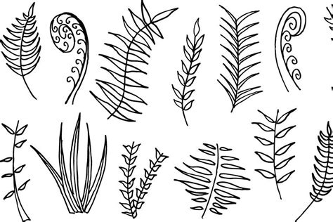 How To Draw A Fern Step By Step at How To Draw