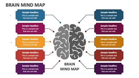 Brain Mind Map PowerPoint Presentation Slides - PPT Template