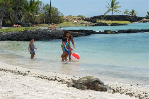 HONOLULU, USA - AUGUST, 14 2014 - People having fun at hawaii beach ...