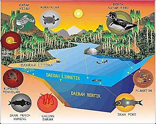 Mengenal Ekosistem Air Tawar