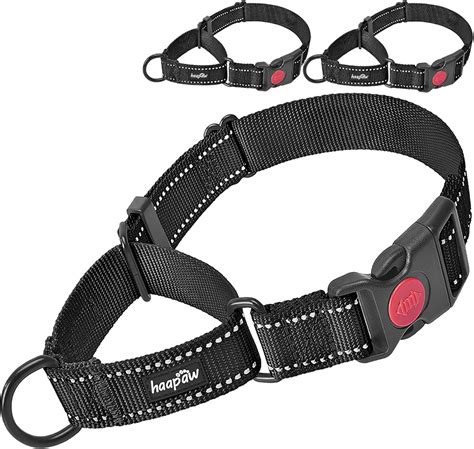 Amazon.com : haapaw 2 Packs Martingale Dog Collar with Quick Release ...