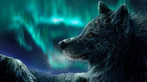 Download Animal Wolf 4k Ultra HD Wallpaper