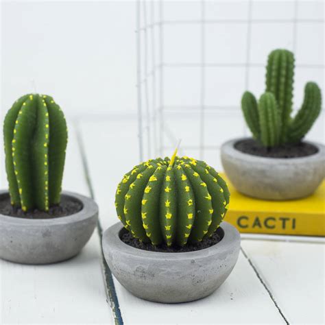 Cactus Candle By Bonnie and Bell | notonthehighstreet.com