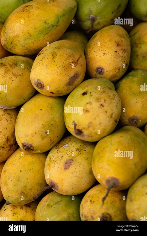 Yellow Mangoes Stock Photo - Alamy