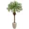 5.5ft. Robellini Palm Tree in Sandstone Planter | Michaels