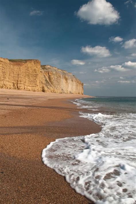 Best Dorset beaches to go fossil hunting on - Dorset Live