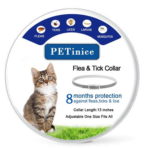 Best Flea Collar For Cats of 2020 – The Ultimate Guide