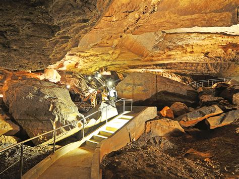 Adventure tourism activities planned in Al Hoota Cave - Muscat Daily