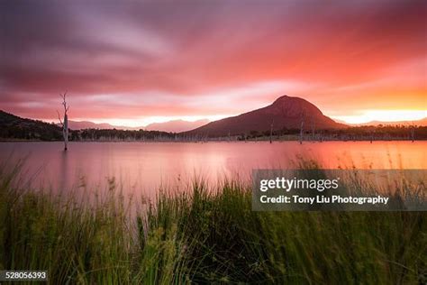 99 Lake Moogerah Stock Photos, High-Res Pictures, and Images - Getty Images