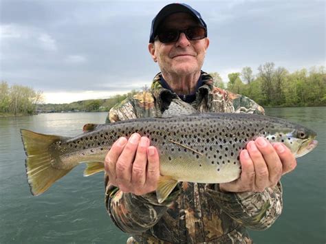 April 13 fishing report - Lilleys' Landing Resort & Marina