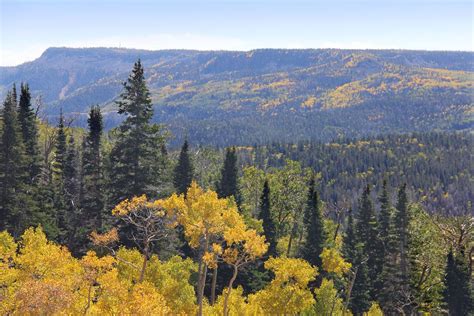 Boulder Mountain, Utah Fall Colors