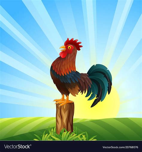 Cartoon rooster crowing at dawn vector image on VectorStock | Cartoon ...