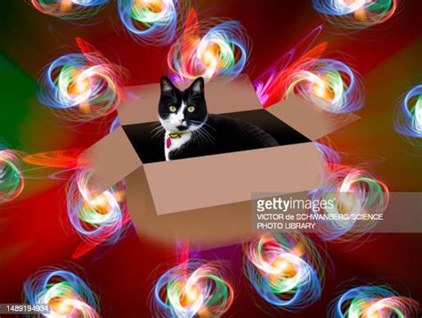 Schrodinger Cat Photos and Premium High Res Pictures - Getty Images