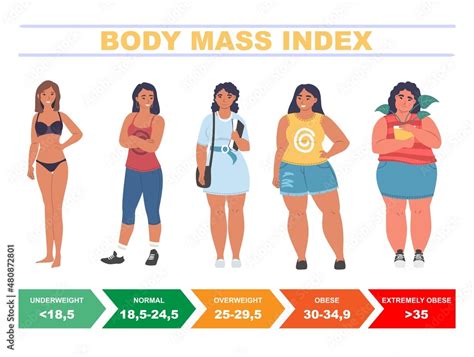 BMI for women. Body mass index chart based on height and weight, flat vector illustration. Stock ...