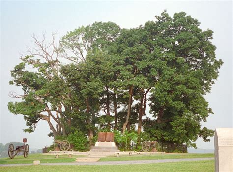 The Copse of Trees at Gettysburg, with photograph and map location