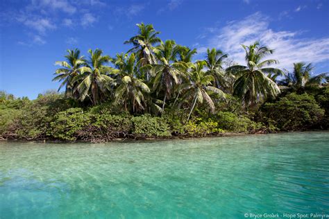 Palmyra Atoll: Palmyra Atoll - Hope Spot: Bryce Groark - Photography