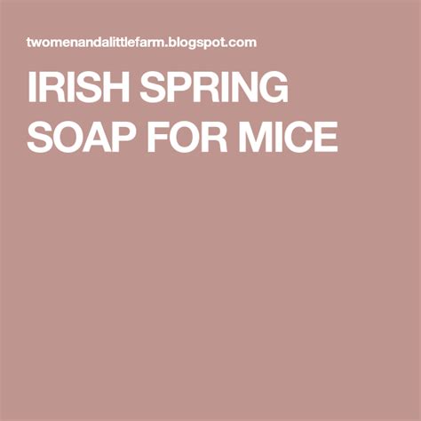 IRISH SPRING SOAP FOR MICE | Irish spring soap, Irish spring, Irish