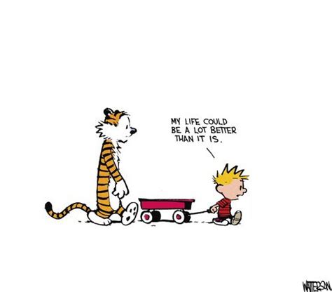 this isn't happiness. | Calvin and hobbes comics, Calvin and hobbes ...