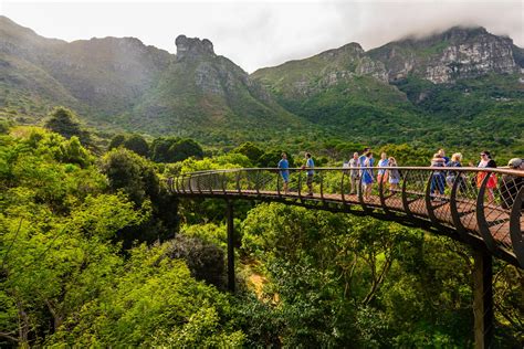 Alan Titchmarsh: Why Kirstenbosch is the gardener's garden