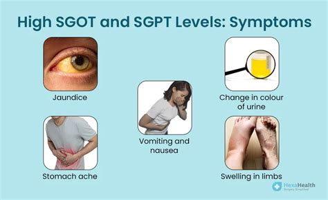 Difference between SGOT and SGPT