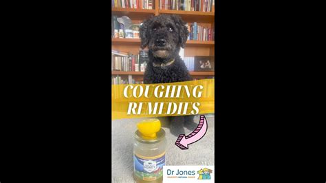 Quick and Easy Dog Coughing Remedies #shorts - YouTube