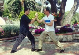 Picture Series: Techniques and Skills of Taijiquan Pushing Hands Part 5