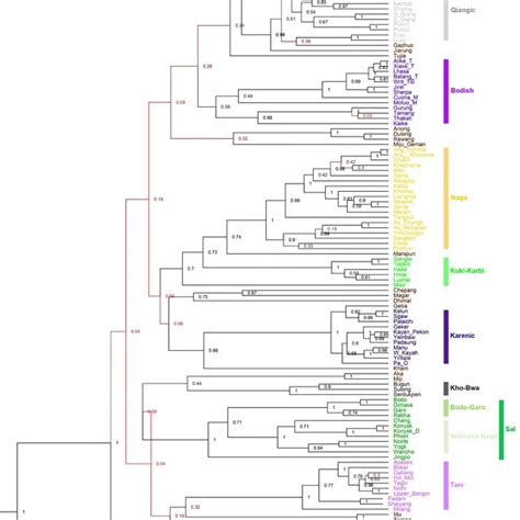 Maximum Clade Credibility tree of 131 Sino-Tibetan languages sampled in ...