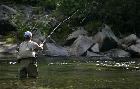 5 Incredible Missoula Montana Fly Fishing Spots Near Us