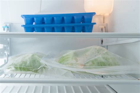 How to Freeze Cabbage Without Blanching It | Hunker