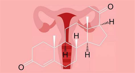 Progesterona: para qué sirve esta hormona y cuáles son sus efectos