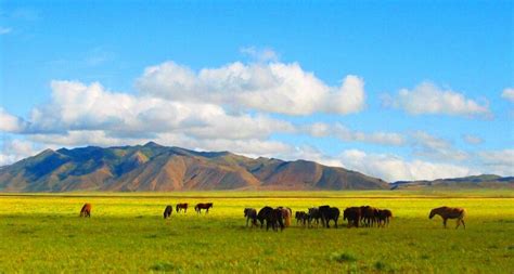 mongolian steppe Uhd Wallpaper, 1920x1200 Wallpaper, Star Wallpaper, More Wallpaper, Wallpaper ...