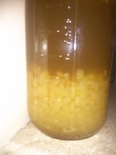 Keysands Live Organic Water Kefir Grains (Crystals, Tibicos): Amazon.com: Grocery & Gourmet Food