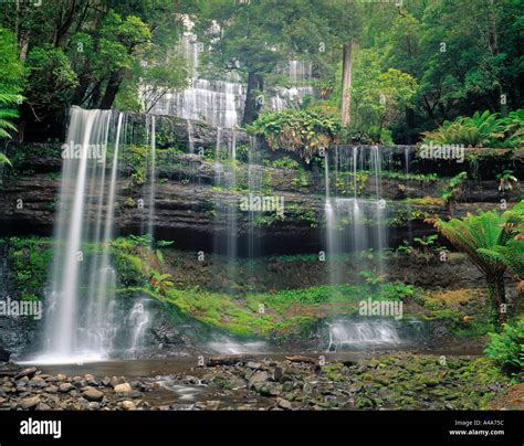 Russell Falls, Mount Weld NP, Tasmania, Australia Stock Photo - Alamy