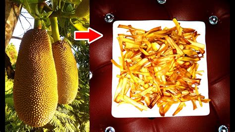 Yummy Crispy Jackfruit Chips Recipe | How To Make Jackfruit Chips at Home - YouTube