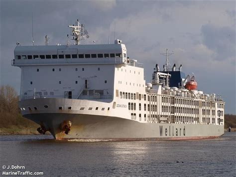 Stranded Livestock Carrier MV Ocean Outback Departs Western Australia After Animal Deaths