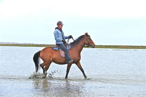 Martin Clunes' Islands of Australia a Must-Watch | Wandering Educators