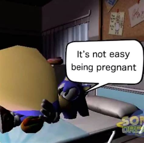 Sonic is pregnant : r/Memes_Of_The_Dank