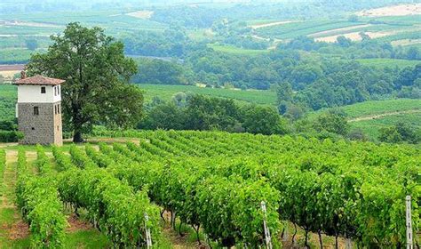 Um passeio pela Grécia através dos seus vinhos - ABS-Rio