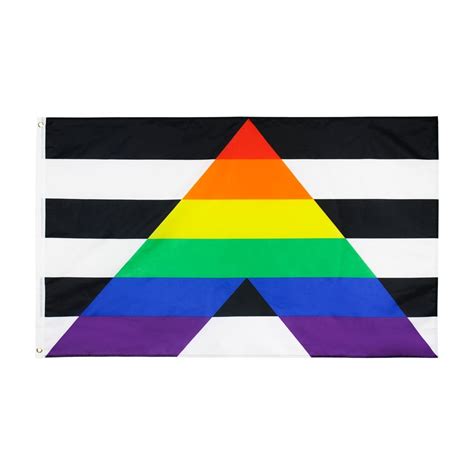 Straight Ally Pride Flag – Queer In The World : The Shop