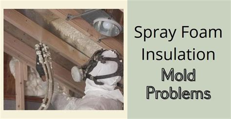 Spray Foam Insulation Mold Problems: Is Spray Foam the Right Material to Use?