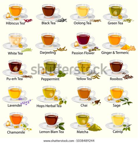 Peppermint Tea: Over 4,388 Royalty-Free Licensable Stock Vectors & Vector Art | Shutterstock