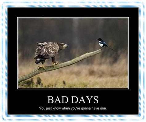 Bad Day Humor Quotes. QuotesGram