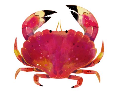 Pin by Anoosha on Illustration Inspiration | Crab art, Art prints, Illustration art