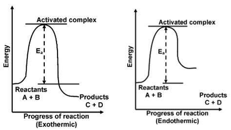 Collision Theory Of Reaction Rates Notes For Class 12|PW