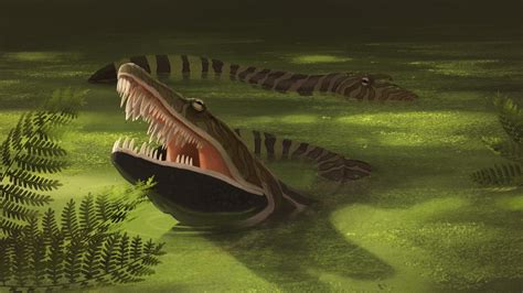 Anthracosaurus russeli by jconway on DeviantArt